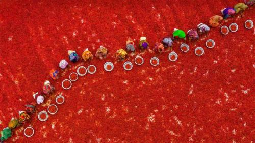 唐辛子の選定, バングラデシュ ボグラ (© Amazing Aerial Agency/Offset/Shutterstock) Bing Everyday Wallpaper 2022-01-15
/tmp/UploadBeta0dkCwU [Bing Everyday Wall Paper 2022-01-15] url = http://www.bing.com/th?id=OHR.BoguraChili_JA-JP1855515621_1920x1080.jpg

File Size (KB): 335.03 KB
Last Modified: January 15 2022 00:00:04

