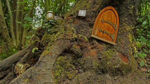 Ashdown Forest, home of Winnie-the-Pooh, England (© Mark Phillips/Alamy) Bing Everyday Wallpaper 2022-01-19
/tmp/UploadBeta0TMxlt [Bing Everyday Wall Paper 2022-01-19] url = http://www.bing.com/th?id=OHR.AshdownForest_EN-US1230205282_1920x1080.jpg

File Size (KB): 334.37 KB
Last Modified: January 19 2022 00:00:07
