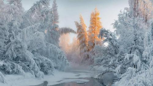 奥伊米亚康的冬天，俄罗斯 (© Alexandr Berdicevschi/Getty Images) Bing Everyday Wallpaper 2022-02-06
/tmp/UploadBetatTlITg [Bing Everyday Wall Paper 2022-02-06] url = http://www.bing.com/th?id=OHR.Oymyakon_ZH-CN7758768574_1920x1080.jpg

File Size (KB): 333.91 KB
Last Modified: February 06 2022 00:00:02
