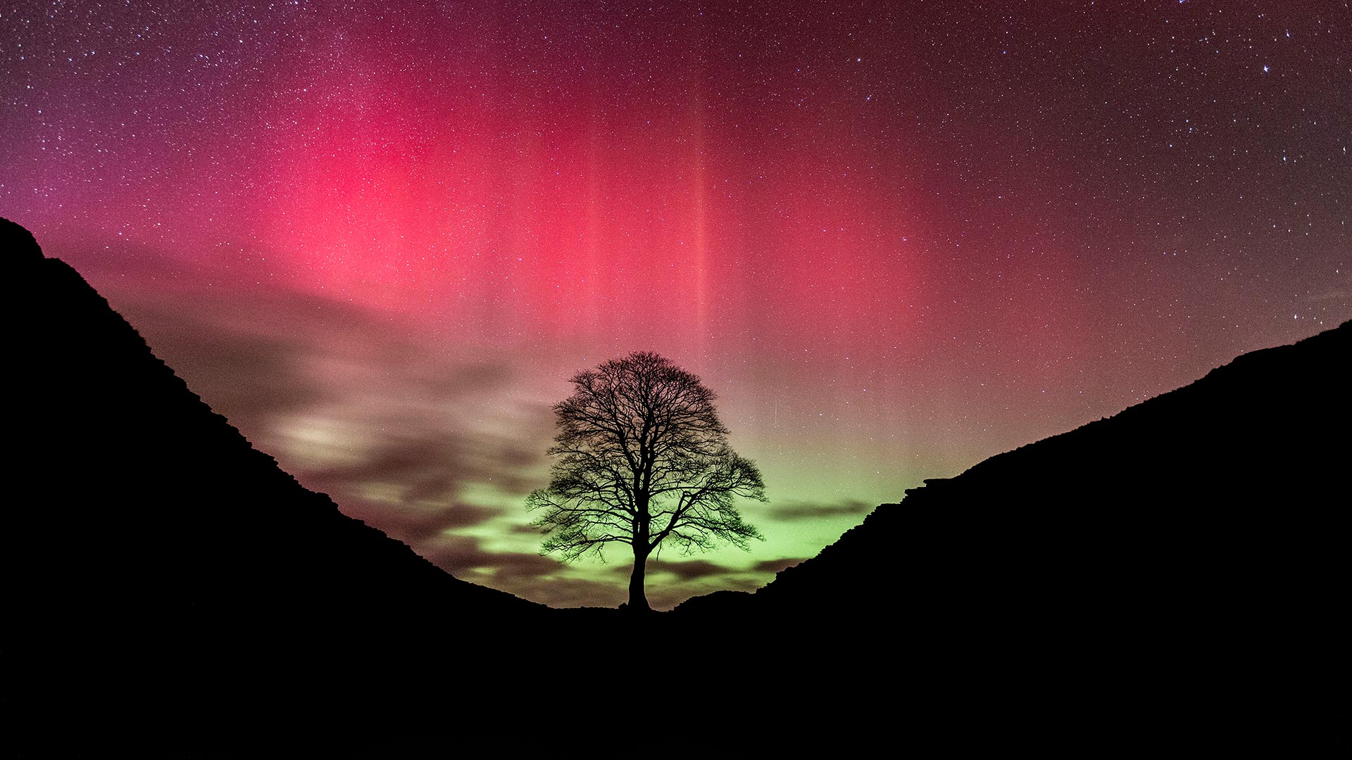 Polarlicht über Sycamore Gap, Hadrianswall, Northumberland, England, Vereinigtes Königreich (© Guy Edwardes/NPL/Minden Pictures) Bing Everyday Wallpaper 2022-02-19, hZDpjV [Bing Everyday Wall Paper 2022-02-19] url = http://www.bing.com/th?id=OHR.SycamoreStars_DE-DE3978989731_1920x1080.jpg