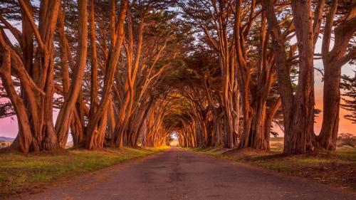 雷斯岬国家海岸公园里的柏树隧道，美国加利福尼亚州 (© Spondylolithesis/Getty Images) Bing Everyday Wallpaper 2022-02-23
/tmp/UploadBetaW60tW7 [Bing Everyday Wall Paper 2022-02-23] url = http://www.bing.com/th?id=OHR.CypressTunnel_ZH-CN1174542149_1920x1080.jpg

File Size (KB): 334.63 KB
Last Modified: February 23 2022 00:00:02
