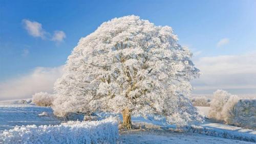 Raureif und Schnee in den Cotswolds, England, Vereinigtes Königreich (© Peter Adams/Getty Images) Bing Everyday Wallpaper 2022-02-25
/tmp/UploadBetaaOnim1 [Bing Everyday Wall Paper 2022-02-25] url = http://www.bing.com/th?id=OHR.WinterCotswolds_DE-DE0366665875_1920x1080.jpg

File Size (KB): 336.09 KB
Last Modified: February 25 2022 00:00:04

