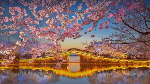 太湖边盛开的樱花，无锡 (© Eric Yang/Getty Images) Bing Everyday Wallpaper 2022-04-03
/tmp/UploadBetahY1a9R [Bing Everyday Wall Paper 2022-04-03] url = http://www.bing.com/th?id=OHR.TaihuCherry_ZH-CN9040685764_1920x1080.jpg

File Size (KB): 335.37 KB
Last Modified: April 03 2022 00:00:07
