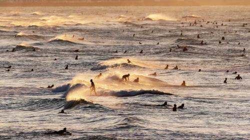七里ヶ浜のサーファー, 神奈川 鎌倉 (© Taro Hama @ e-kamakura/Getty Images) Bing Everyday Wallpaper 2022-07-03
/tmp/UploadBeta1pdOjH [Bing Everyday Wall Paper 2022-07-03] url = http://www.bing.com/th?id=OHR.Surfin2022_JA-JP9036784881_1920x1080.jpg

File Size (KB): 340.51 KB
Last Modified: July 03 2022 00:00:03
