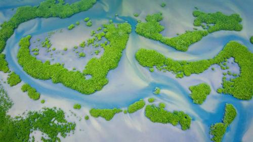 萨卢姆三角洲国家公园的红树林，塞内加尔共和国 (© mariusz_prusaczyk/Getty Images) Bing Everyday Wallpaper 2022-07-26
/tmp/UploadBetavzh4D5 [Bing Everyday Wall Paper 2022-07-26] url = http://www.bing.com/th?id=OHR.MangroveDay_ZH-CN5590436101_1920x1080.jpg

File Size (KB): 336.63 KB
Last Modified: July 26 2022 00:00:08
