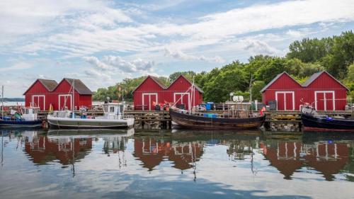 Boote im Fischereihafen, Boltenhagen, Mecklenburg-Vorpommern (© iStock/Getty Images) Bing Everyday Wallpaper 2022-08-03
/tmp/UploadBeta97S3pg [Bing Everyday Wall Paper 2022-08-03] url = http://www.bing.com/th?id=OHR.BoltenhagenBoote_DE-DE0219277516_1920x1080.jpg

File Size (KB): 336.75 KB
Last Modified: August 03 2022 00:00:04
