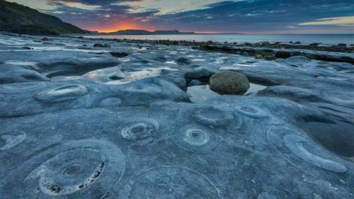 蒙茅斯海滩的菊石路面，英国多塞特侏罗纪海岸世界遗产地 (© AWL Images/Danita Delimont) Bing Everyday Wallpaper 2022-10-12
/tmp/UploadBetawKePmm [Bing Everyday Wall Paper 2022-10-12] url = http://www.bing.com/th?id=OHR.AmmoniteGraveyard_ZH-CN8904427525_1920x1080.jpg

File Size (KB): 335.1 KB
Last Modified: October 12 2022 00:00:07
