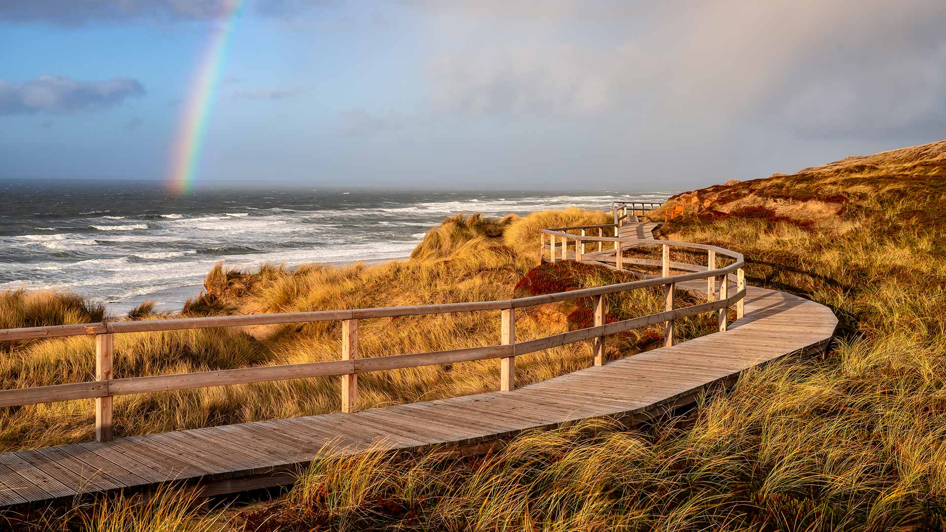 Holzbohlenweg in den Dünen bei Wenningstedt, Sylt, Schleswig-Holstein (© Achim Thomae/Getty Images) Bing Everyday Wallpaper 2022-12-05, M4VtjC [Bing Everyday Wall Paper 2022-12-05] url = http://www.bing.com/th?id=OHR.BohlenwegWenningstedt_DE-DE1630283680_1920x1080.jpg