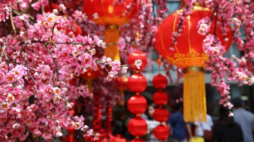 春节的桃花和红灯笼 (© David Ng+EyeEm/Getty Images) Bing Everyday Wallpaper 2023-01-22
/tmp/UploadBetaSxBVxP [Bing Everyday Wall Paper 2023-01-22] url = http://www.bing.com/th?id=OHR.ChineseSpringFestival2023_ZH-CN7281854882_1920x1080.jpg

File Size (KB): 283.71 KB
Last Modified: January 22 2023 00:00:03

