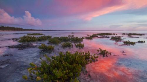 瓜纳阿卡维韦斯半岛国家公园的红树林，古巴 (© Claudio Contreras/Minden Pictures) Bing Everyday Wallpaper 2023-01-27
/tmp/UploadBetaGCc180 [Bing Everyday Wall Paper 2023-01-27] url = http://www.bing.com/th?id=OHR.RedMangrove_ZH-CN4083989028_1920x1080.jpg

File Size (KB): 336.42 KB
Last Modified: January 27 2023 00:00:03
