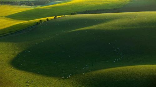 南唐斯国家公园的绵羊，东萨塞克斯郡，英国 (© Slawek Staszczuk/Alamy) Bing Everyday Wallpaper 2023-03-12
/tmp/UploadBeta48oYrC [Bing Everyday Wall Paper 2023-03-12] url = http://www.bing.com/th?id=OHR.SouthDownsSheep_ZH-CN8986424729_1920x1080.jpg

File Size (KB): 324.65 KB
Last Modified: March 12 2023 00:00:02
