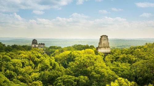 Mayan ruins in Tikal, Guatemala (© THP Creative/Getty Images) Bing Everyday Wallpaper 2023-05-05
/tmp/UploadBetaadDNs2 [Bing Everyday Wall Paper 2023-05-05] url = http://www.bing.com/th?id=OHR.RebelBase_EN-US9162228478_1920x1080.jpg

File Size (KB): 318.37 KB
Last Modified: May 05 2023 00:00:02
