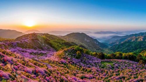 黄梅山, 韓国 (© Stock for you/Shutterstock) Bing Everyday Wallpaper 2023-05-06
/tmp/UploadBetaKVZdyP [Bing Everyday Wall Paper 2023-05-06] url = http://www.bing.com/th?id=OHR.HwangmaesanAzaleas_JA-JP5660353966_1920x1080.jpg

File Size (KB): 317.13 KB
Last Modified: May 06 2023 00:00:02
