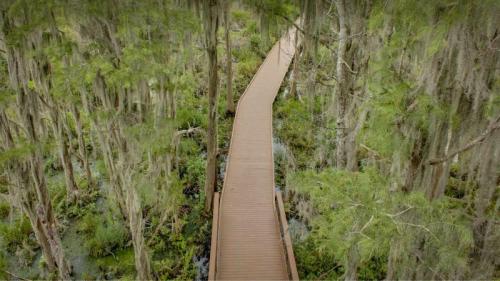 奥克弗诺基沼泽木板路上的西班牙苔藓，佐治亚州，美国 (© Emmer Photo/Alamy) Bing Everyday Wallpaper 2023-06-13
/tmp/UploadBeta62DBCs [Bing Everyday Wall Paper 2023-06-13] url = http://www.bing.com/th?id=OHR.OkefenokeeSwamp_ZH-CN3640203783_1920x1080.jpg

File Size (KB): 320.97 KB
Last Modified: June 13 2023 00:00:02
