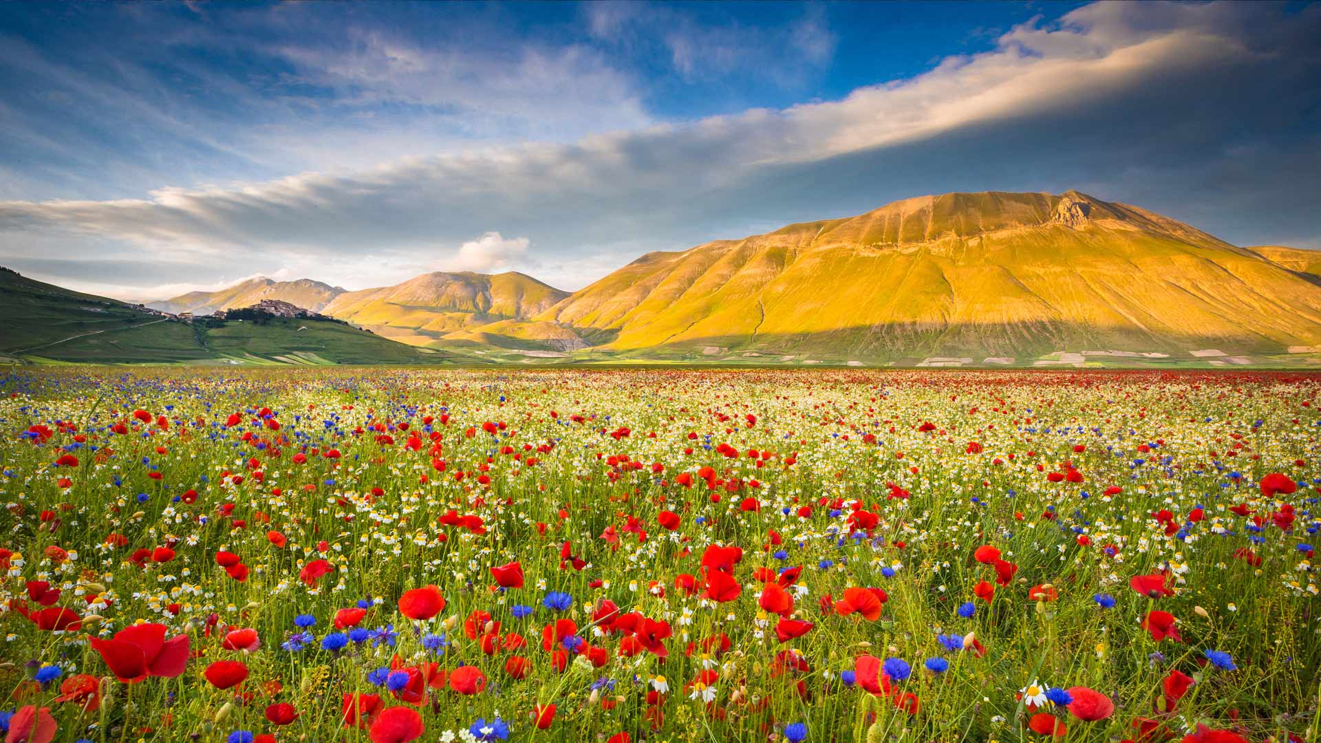 Castelluccio, Umbria, Italy (© Stefano Termanini/Getty Images) Bing Everyday Wallpaper 2023-06-18, Amun4o [Bing Everyday Wall Paper 2023-06-18] url = http://www.bing.com/th?id=OHR.CastelluccioUmbria_ROW7425305356_1920x1080.jpg