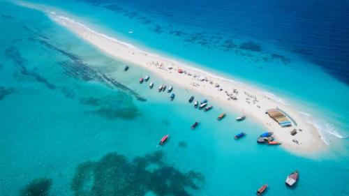 “我爱你”海滩自然保护区的沙洲，桑给巴尔，坦桑尼亚 (© Lubos Paukeje/Alamy) Bing Everyday Wallpaper 2023-07-12
/tmp/UploadBetatkYYb8 [Bing Everyday Wall Paper 2023-07-12] url = http://www.bing.com/th?id=OHR.NakupendaBeach_ZH-CN7913805608_1920x1080.jpg

File Size (KB): 313.33 KB
Last Modified: July 12 2023 00:00:02
