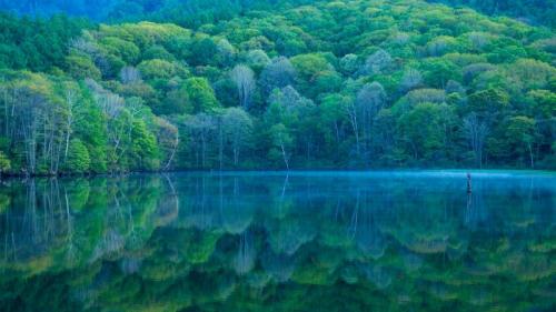 鏡池, 長野県 長野市 (© Shoji Fujita/Getty Images) Bing Everyday Wallpaper 2023-08-04
/tmp/UploadBetamGWCu7 [Bing Everyday Wall Paper 2023-08-04] url = http://www.bing.com/th?id=OHR.NaganoPond_JA-JP0131888809_1920x1080.jpg

File Size (KB): 320.61 KB
Last Modified: August 04 2023 00:00:03
