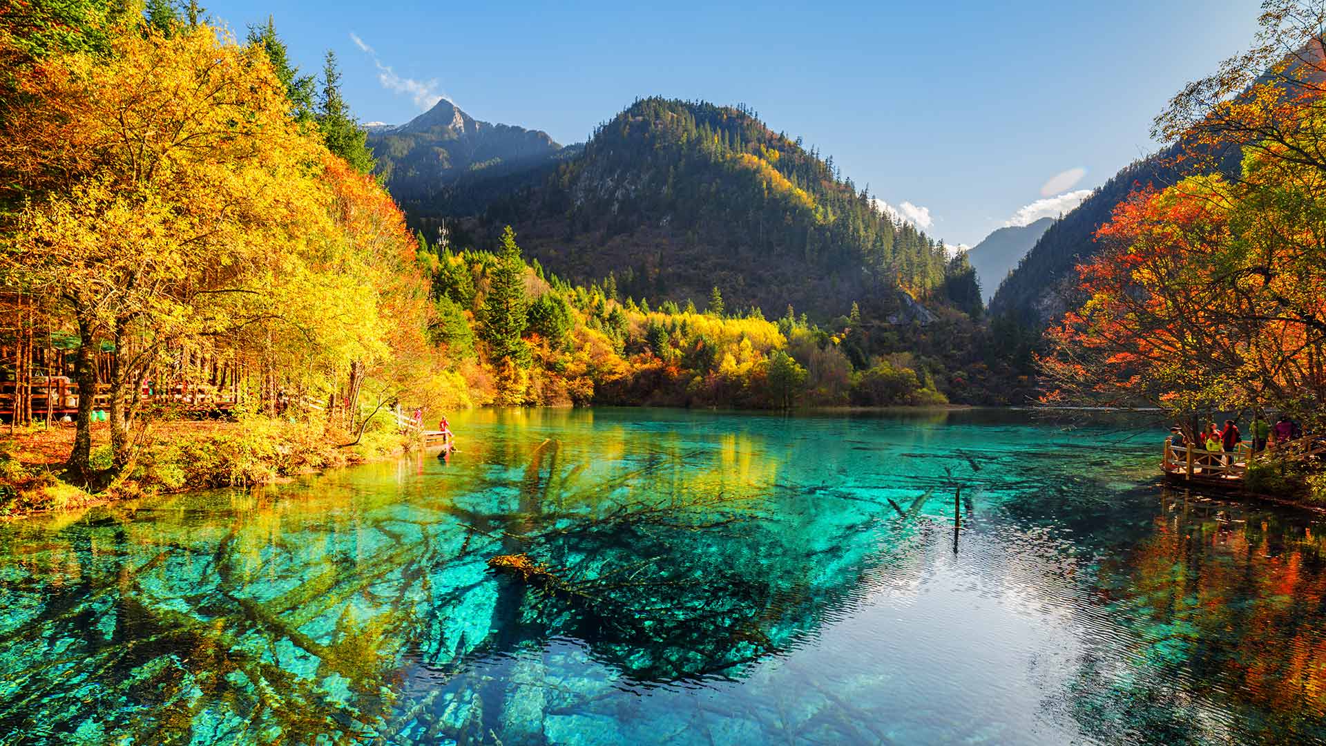 五花海，阿坝九寨沟旅游景区，四川省，中国 (© Michael Ver Sprill/Getty Images) Bing Everyday Wallpaper 2023-08-08, f4pKgh [Bing Everyday Wall Paper 2023-08-08] url = http://www.bing.com/th?id=OHR.LiQiu2023_ZH-CN9197909278_1920x1080.jpg