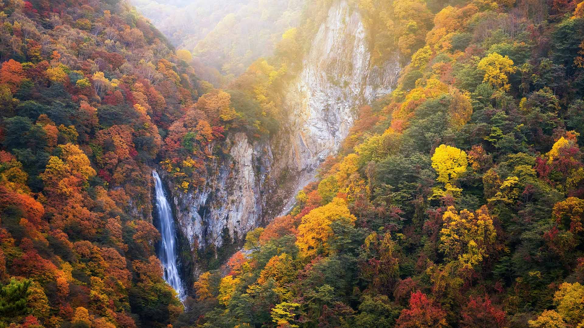 志賀高原の澗満滝, 長野県 (© Twenty47studio/Getty Images) Bing Everyday Wallpaper 2023-10-08, jfgcf0 [Bing Everyday Wall Paper 2023-10-08] url = http://www.bing.com/th?id=OHR.Hanlu2023_JA-JP9061398422_1920x1080.jpg