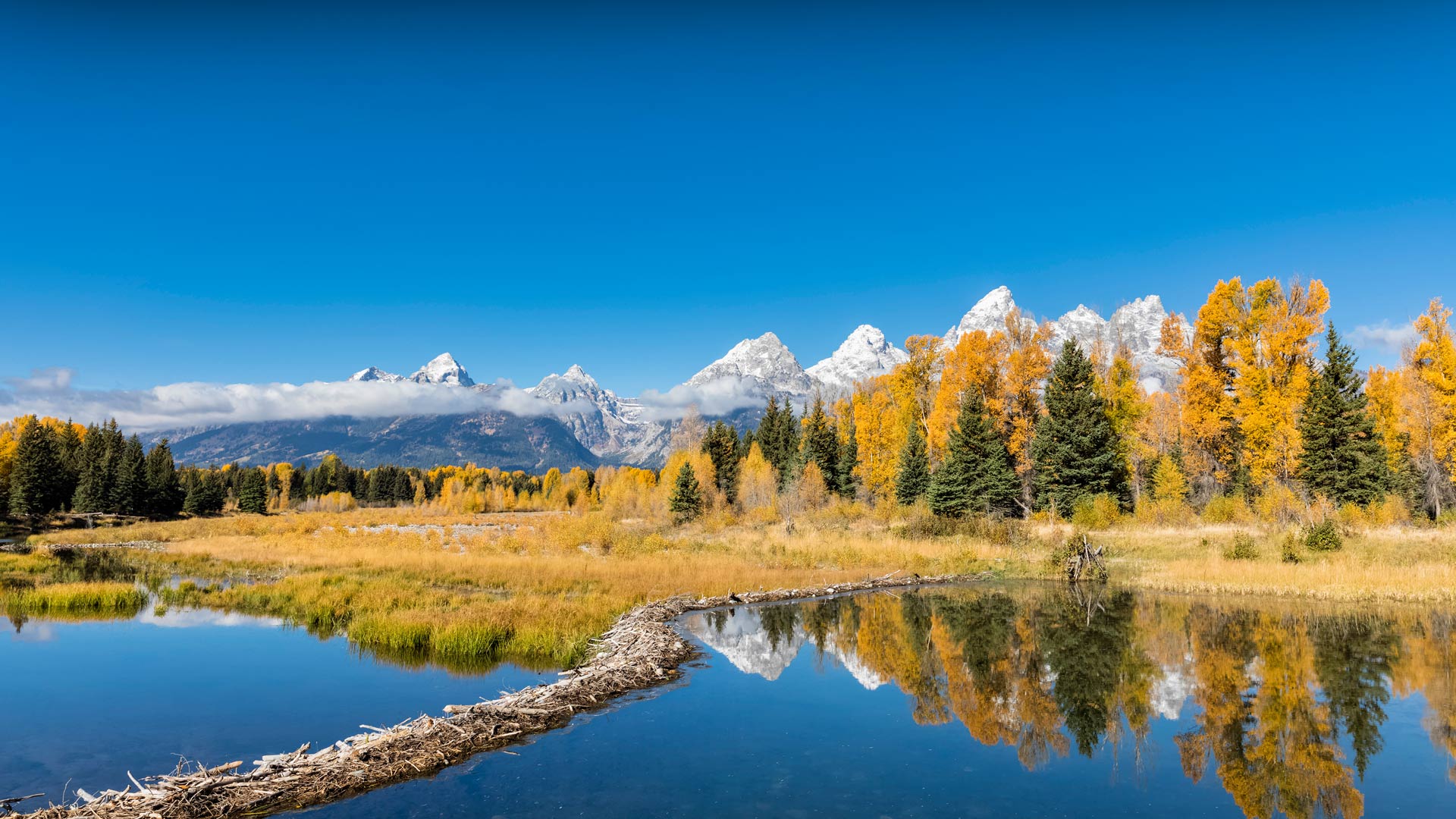 グランド・ティトン国立公園, 米国 ワイオミング州 (© Westend61/Getty Images) Bing Everyday Wallpaper 2023-11-17, 0sY1aE [Bing Everyday Wall Paper 2023-11-17] url = http://www.bing.com/th?id=OHR.SnakeRiverTeton_JA-JP1792583691_1920x1080.jpg