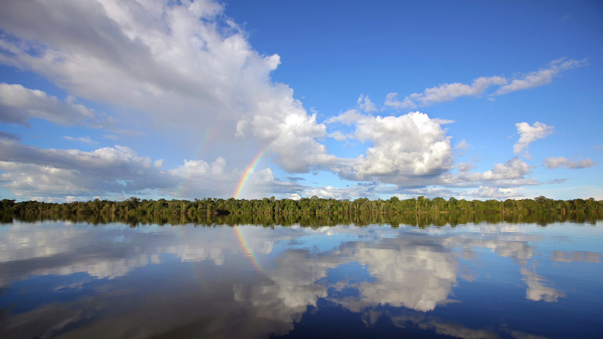 Río Negro, Amazonasbecken, Brasilien (© Timothy Allen/Getty Images) Bing Everyday Wallpaper 2023-11-21, E5Wraa [Bing Everyday Wall Paper 2023-11-21] url = http://www.bing.com/th?id=OHR.RioNegro_DE-DE7737986794_1920x1080.jpg