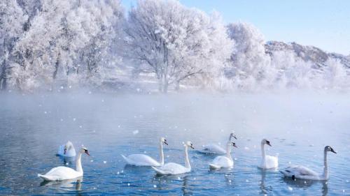 天鹅泉湿地公园，伊犁，新疆，中国 (© 500px Asia/Getty images) Bing Everyday Wallpaper 2023-12-22
/tmp/UploadBetahPcdCJ [Bing Everyday Wall Paper 2023-12-22] url = http://www.bing.com/th?id=OHR.WinterSolstice2023_ZH-CN4450201916_1920x1080.jpg

File Size (KB): 289.69 KB
Last Modified: December 22 2023 00:00:03

