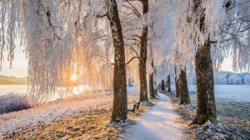Avenue of birch trees near Uffing am Staffelsee, Bavaria, Germany (© Reinhard Schmid/Huber/eStock Photo) Bing Everyday Wallpaper 2023-12-22
/tmp/UploadBetaINgMDJ [Bing Everyday Wall Paper 2023-12-22] url = http://www.bing.com/th?id=OHR.BavarianSolstice_EN-US9111666986_1920x1080.jpg

File Size (KB): 316.34 KB
Last Modified: December 22 2023 00:00:01
