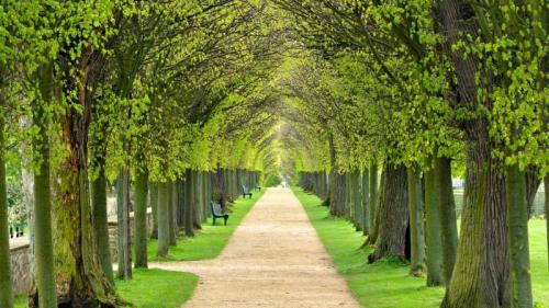 Lindenallee, baumgesäumter Fußweg durch den Park im Frühling (© AVTG/Getty Images) Bing Everyday Wallpaper 2024-03-15
/tmp/UploadBetayvSC29 [Bing Everyday Wall Paper 2024-03-15] url = http://www.bing.com/th?id=OHR.AvenueLimeTrees_DE-DE2066853614_1920x1080.jpg

File Size (KB): 295.71 KB
Last Modified: March 15 2024 00:00:04
