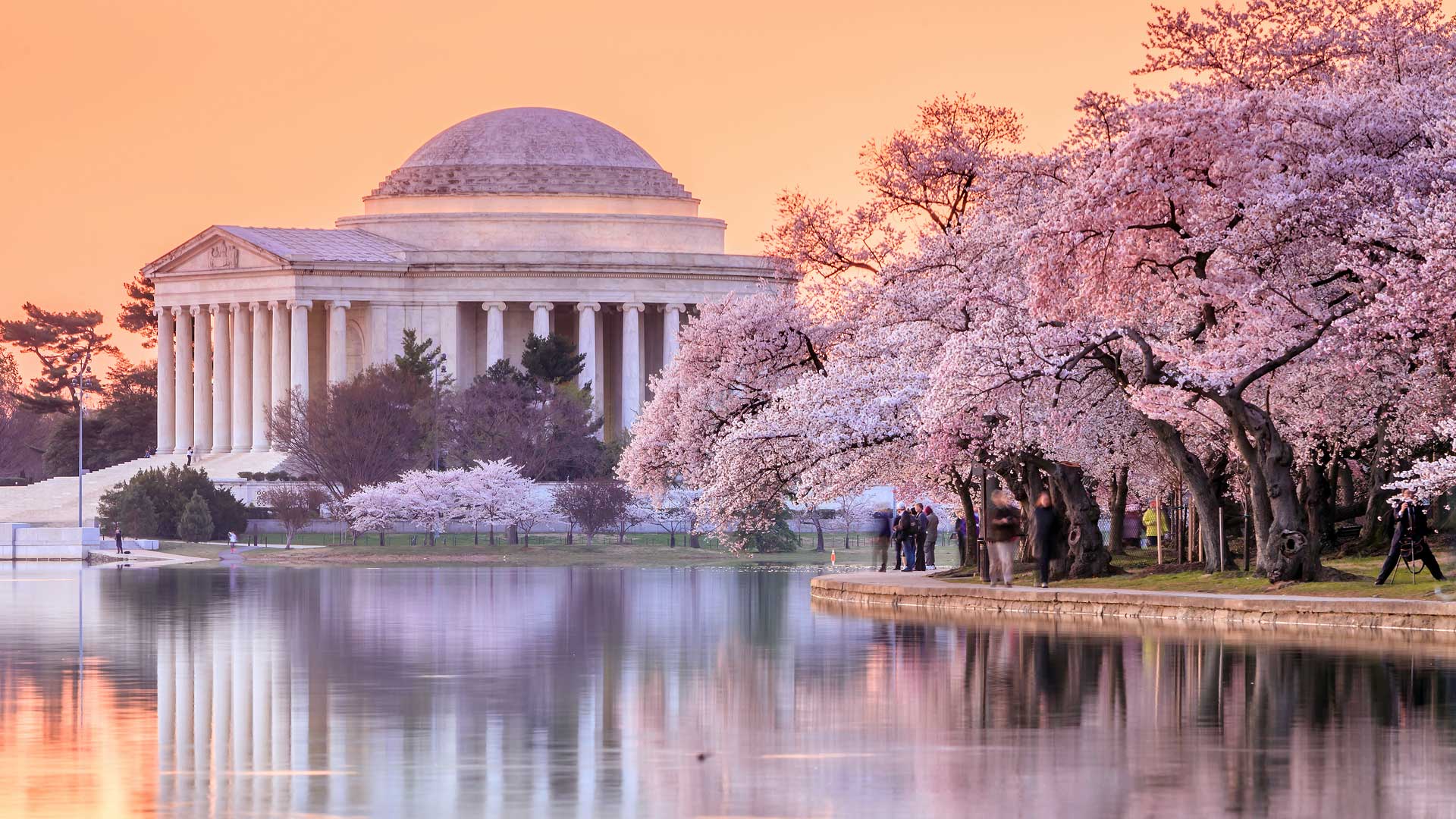 The Jefferson Memorial during the Cherry Blossom Festival, Washington, DC (© f11photo/Shutterstock) Bing Everyday Wallpaper 2024-03-21, BgQfnS [Bing Everyday Wall Paper 2024-03-21] url = http://www.bing.com/th?id=OHR.CherryBlossomsDC_EN-US3285783737_1920x1080.jpg