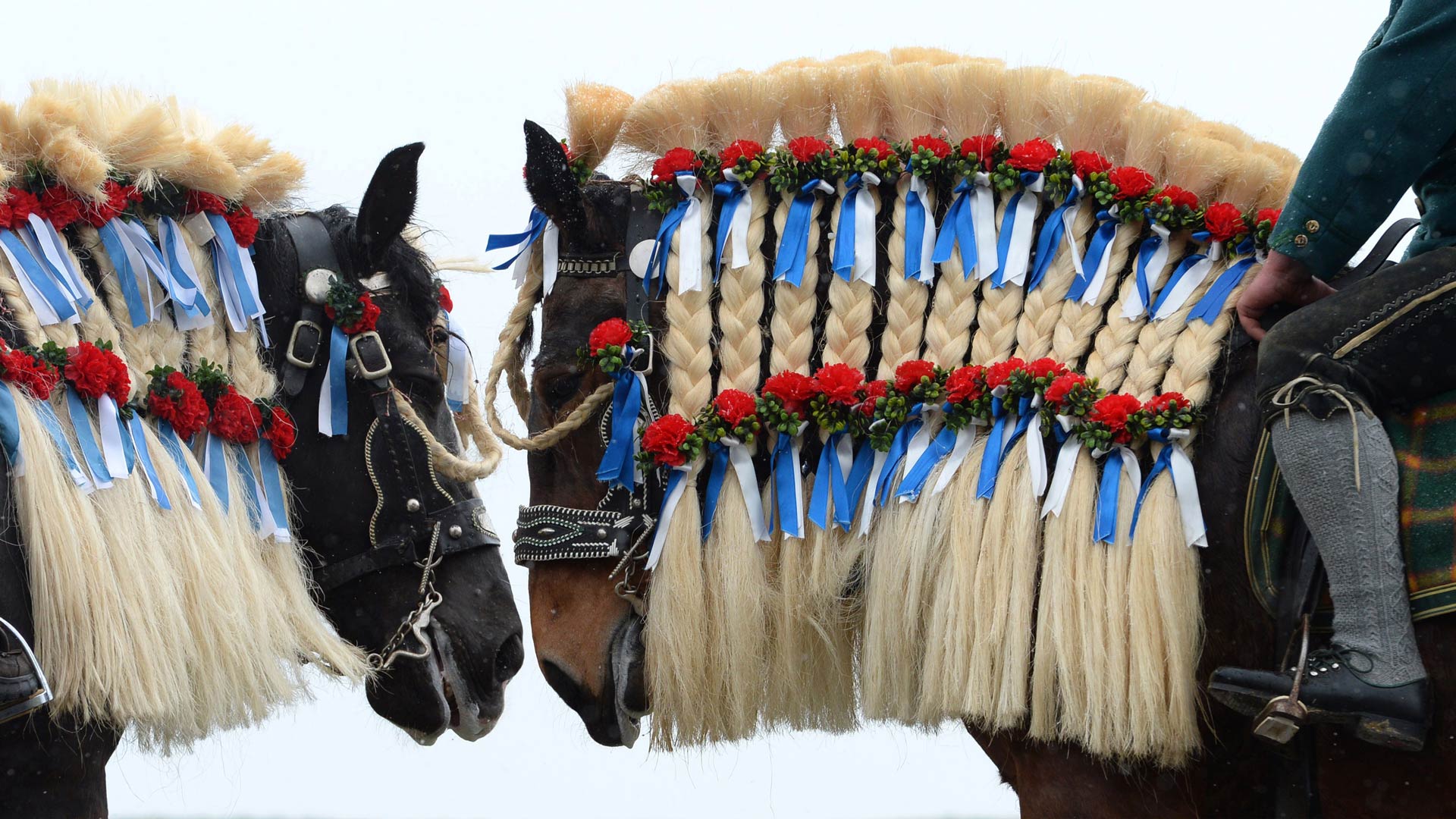 Traunsteiner Pferde beim traditionellen St. Georgi-Ritt am Ostermontag in bayerischen Farben geschmückt, Deutschland (© Christof Stache/AFP via Getty Images) Bing Everyday Wallpaper 2024-04-01, uC0WyN [Bing Everyday Wall Paper 2024-04-01] url = http://www.bing.com/th?id=OHR.StGeorgiRide_DE-DE6646277481_1920x1080.jpg