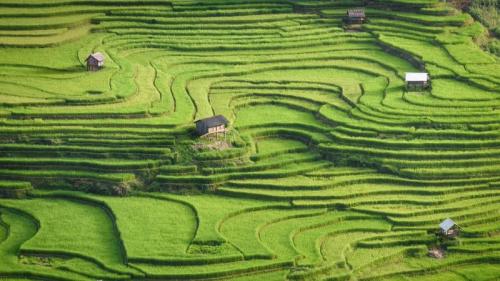 ムーカンチャイ県, ベトナム (© Kiatanan Sugsompian/Getty Images) Bing Everyday Wallpaper 2024-07-04
/tmp/UploadBetakPcft2 [Bing Everyday Wall Paper 2024-07-04] url = http://www.bing.com/th?id=OHR.YenBaiTerraces_JA-JP0209668675_1920x1080.jpg

File Size (KB): 305.41 KB
Last Modified: July 04 2024 00:00:03
