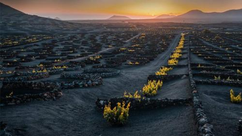 Volcanic vineyard in the La Geria wine region of Lanzarote, Canary Islands, Spain (© Pol Albarrán/Getty Images) Bing Everyday Wallpaper 2024-07-15
/tmp/UploadBetanEvmYt [Bing Everyday Wall Paper 2024-07-15] url = http://www.bing.com/th?id=OHR.LaGeriaLanzarote_EN-US4849523931_1920x1080.jpg

File Size (KB): 311.49 KB
Last Modified: July 15 2024 00:00:02
