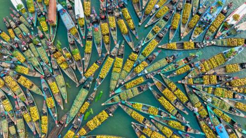 卡普泰湖水上市场，兰加马蒂，孟加拉 (© Azim Khan Ronnie/Amazing Aerial Agency) Bing Everyday Wallpaper 2024-08-01
/tmp/UploadBetaL65tIm [Bing Everyday Wall Paper 2024-08-01] url = http://www.bing.com/th?id=OHR.KaptaiLake_ZH-CN9085738832_1920x1080.jpg

File Size (KB): 314.52 KB
Last Modified: August 01 2024 00:00:02
