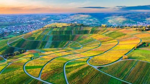 Drohnenansicht der Weinberge im Remstal, Baden-Württemberg (© Westend61/Getty Images) Bing Everyday Wallpaper 2024-08-25
/tmp/UploadBetaI5vFUB [Bing Everyday Wall Paper 2024-08-25] url = http://www.bing.com/th?id=OHR.VineyardsinRemstalvalley_DE-DE8704317940_1920x1080.jpg

File Size (KB): 279.08 KB
Last Modified: August 25 2024 00:00:03
