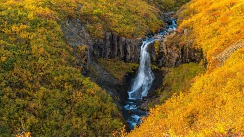 斯卡夫塔山的瀑布，瓦特纳冰川国家公园，冰岛 (© Nopasorn Kowathanakul/Getty Images) Bing Everyday Wallpaper 2024-09-24
/tmp/UploadBetaF41UTB [Bing Everyday Wall Paper 2024-09-24] url = http://www.bing.com/th?id=OHR.SkaftafellWaterfall_ZH-CN1766863001_1920x1080.jpg

File Size (KB): 318.98 KB
Last Modified: September 24 2024 00:00:02
