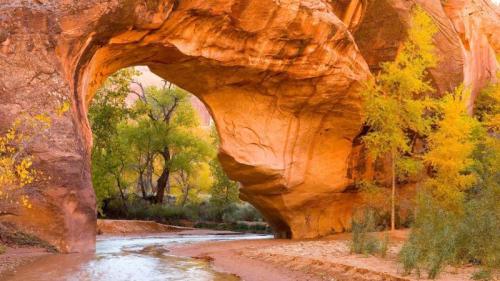 Cottonwoods seen through an arch in Coyote Gulch, Glen Canyon Recreation Area, Utah (© Stephen Matera/Tandem Stills + Motion) Bing Everyday Wallpaper 2024-09-29
/tmp/UploadBetavZAnwq [Bing Everyday Wall Paper 2024-09-29] url = http://www.bing.com/th?id=OHR.CoyoteGulch_EN-US1769933001_1920x1080.jpg

File Size (KB): 316.92 KB
Last Modified: September 29 2024 00:00:02
