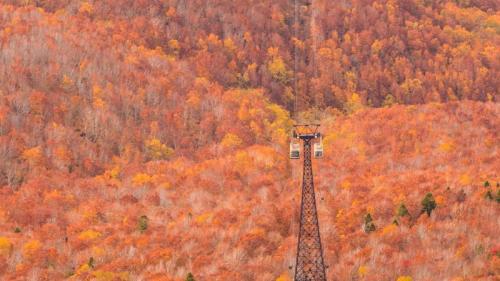 秋の八甲田ロープウェイ,  青森県 青森市 (© Torsakarin/Getty Images) Bing Everyday Wallpaper 2024-10-08
/tmp/UploadBeta7ralxr [Bing Everyday Wall Paper 2024-10-08] url = http://www.bing.com/th?id=OHR.Kanro2024_JA-JP5787966494_1920x1080.jpg

File Size (KB): 317.16 KB
Last Modified: October 08 2024 00:00:02

