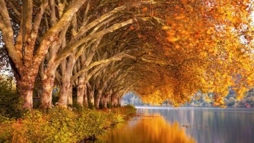 Herbstbäume am Baldeneysee, NRW (© Simon Perez/Alamy Stock Photo) Bing Everyday Wallpaper 2024-10-21
/tmp/UploadBetaPK1X2Z [Bing Everyday Wall Paper 2024-10-21] url = http://www.bing.com/th?id=OHR.GermanyBaldeneyseeFall_DE-DE3538373815_1920x1080.jpg

File Size (KB): 247.95 KB
Last Modified: October 21 2024 00:00:03
