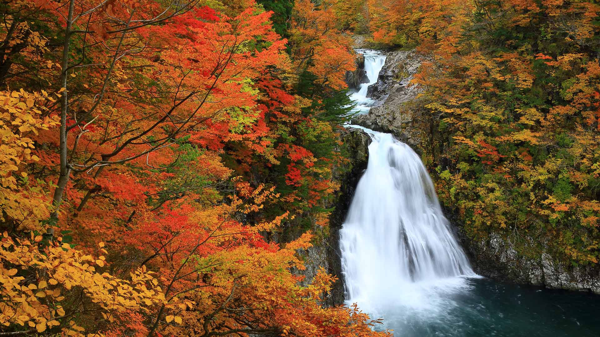紅葉に包まれた法体の滝, 秋田県 由利本荘市 (© nattya3714/Getty Images) Bing Everyday Wallpaper 2024-10-23, TRQEaT [Bing Everyday Wall Paper 2024-10-23] url = http://www.bing.com/th?id=OHR.HottaiFalls2024_JA-JP5036595123_1920x1080.jpg