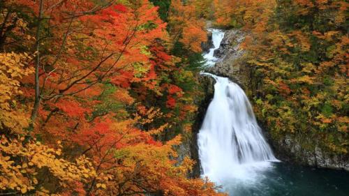 紅葉に包まれた法体の滝, 秋田県 由利本荘市 (© nattya3714/Getty Images) Bing Everyday Wallpaper 2024-10-23
/tmp/UploadBetaTRQEaT [Bing Everyday Wall Paper 2024-10-23] url = http://www.bing.com/th?id=OHR.HottaiFalls2024_JA-JP5036595123_1920x1080.jpg

File Size (KB): 317.38 KB
Last Modified: October 23 2024 00:00:03
