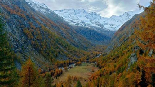 Gran Paradiso National Park, Italy (© Ondrej Prosicky/Alamy) Bing Everyday Wallpaper 2024-10-31
/tmp/UploadBetaWYAMkq [Bing Everyday Wall Paper 2024-10-31] url = http://www.bing.com/th?id=OHR.ValleAostaGranParadiso_ROW5529148067_1920x1080.jpg

File Size (KB): 325.44 KB
Last Modified: October 31 2024 00:00:04
