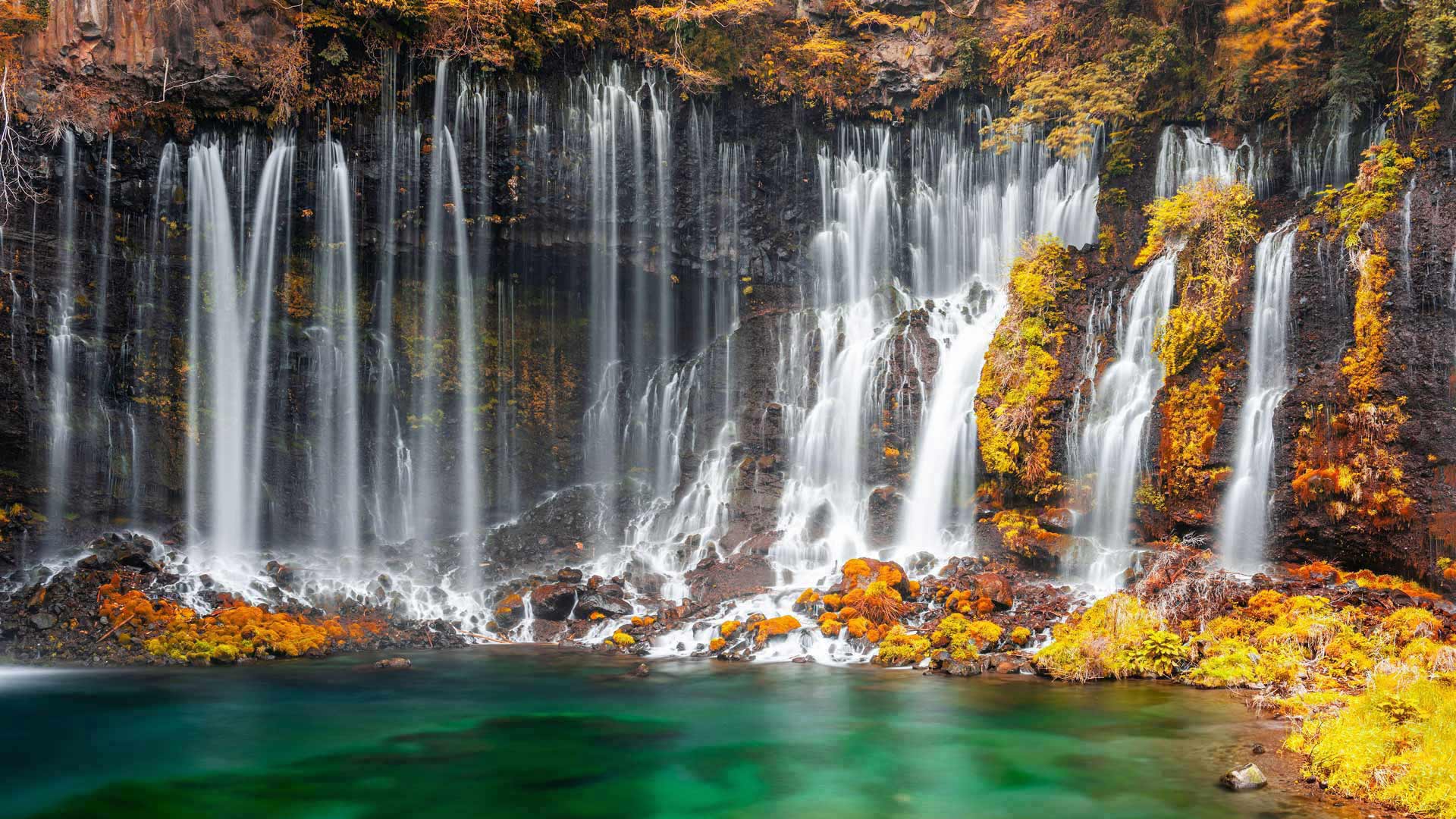 白糸の滝, 静岡県 富士宮市 (© Sean Pavone/Alamy Stock Photo) Bing Everyday Wallpaper 2024-11-22, UvpuBk [Bing Everyday Wall Paper 2024-11-22] url = http://www.bing.com/th?id=OHR.Xiaoxue2024_JA-JP4930643570_1920x1080.jpg