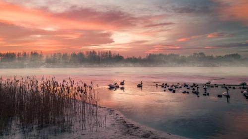 Gefrorener See bei Wintersonnenaufgang, Deutschland (© Marc_Osborne/Getty Images) Bing Everyday Wallpaper 2024-12-12
/tmp/UploadBetaG7N3ob [Bing Everyday Wall Paper 2024-12-12] url = http://www.bing.com/th?id=OHR.FrozenLakebyWintrySunrise_DE-DE6146213126_1920x1080.jpg

File Size (KB): 323.95 KB
Last Modified: December 12 2024 00:00:03
