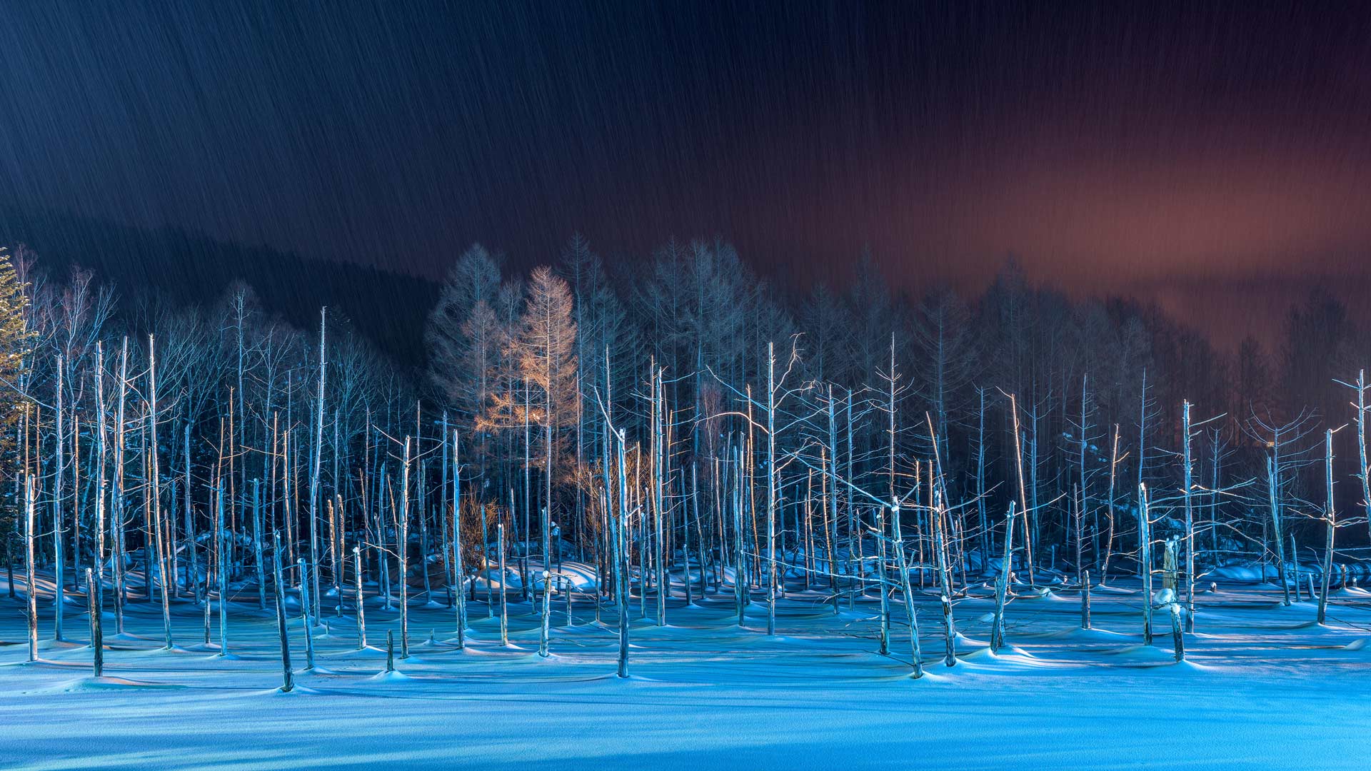 ライトアップされた青い池, 北海道 美瑛町 (© Sean Pavone/Alamy Stock Photo) Bing Everyday Wallpaper 2024-12-21, bb6y13 [Bing Everyday Wall Paper 2024-12-21] url = http://www.bing.com/th?id=OHR.BluePond2024_JA-JP2198755551_1920x1080.jpg