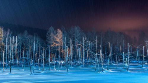 ライトアップされた青い池, 北海道 美瑛町 (© Sean Pavone/Alamy Stock Photo) Bing Everyday Wallpaper 2024-12-21
/tmp/UploadBetabb6y13 [Bing Everyday Wall Paper 2024-12-21] url = http://www.bing.com/th?id=OHR.BluePond2024_JA-JP2198755551_1920x1080.jpg

File Size (KB): 297.06 KB
Last Modified: December 21 2024 00:00:03
