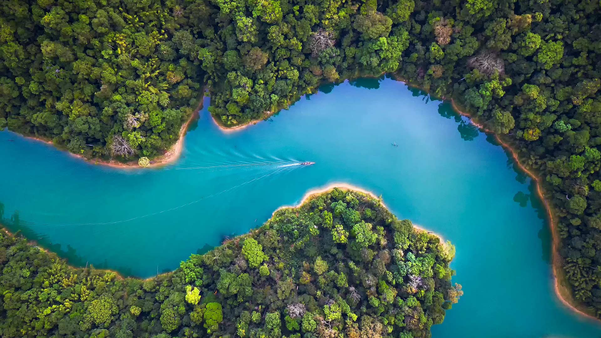 俯瞰拷索山林国家公园，素叻府，泰国 (© Peetatham Kongkapech/Getty Images) Bing Everyday Wallpaper 2025-03-05, zjoc6Q [Bing Everyday Wall Paper 2025-03-05] url = http://www.bing.com/th?id=OHR.SuratThani_ZH-CN4797096558_1920x1080.jpg
