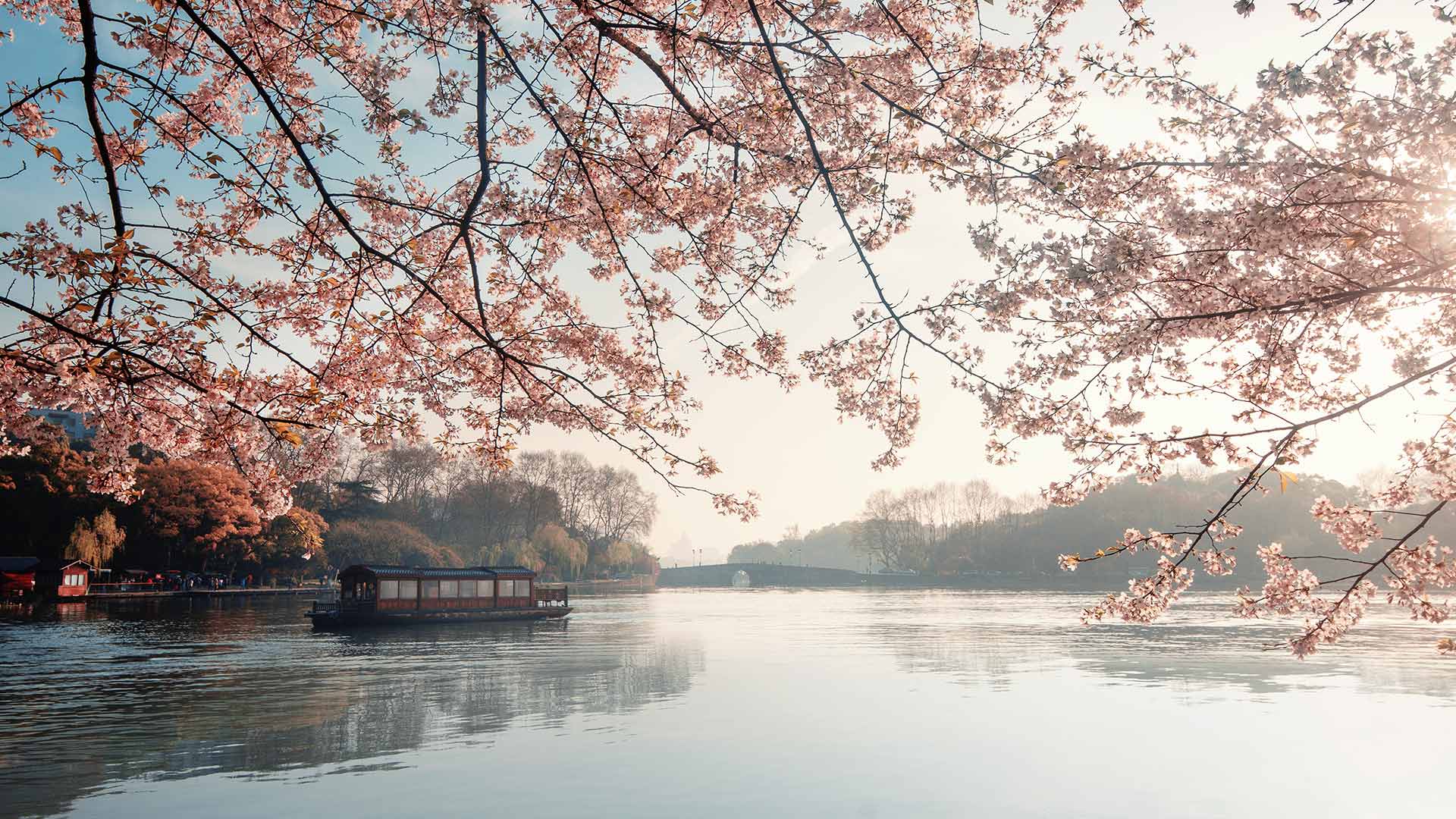 美丽盛开的樱花，杭州的春天，中国 (© zhang shuang/Getty Images) Bing Everyday Wallpaper 2025-03-20, DFE3Tx [Bing Everyday Wall Paper 2025-03-20] url = http://www.bing.com/th?id=OHR.SpringequinoxY25_ZH-CN1635828827_1920x1080.jpg
