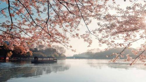 美丽盛开的樱花，杭州的春天，中国 (© zhang shuang/Getty Images) Bing Everyday Wallpaper 2025-03-20
/tmp/UploadBetaDFE3Tx [Bing Everyday Wall Paper 2025-03-20] url = http://www.bing.com/th?id=OHR.SpringequinoxY25_ZH-CN1635828827_1920x1080.jpg

File Size (KB): 291.32 KB
Last Modified: March 20 2025 00:00:02
