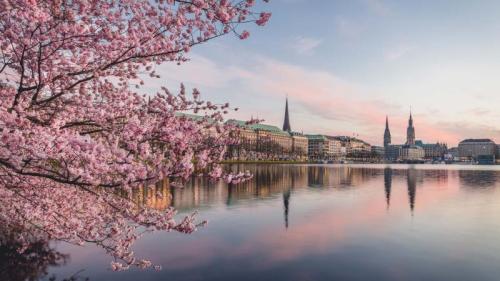 Kirschblüten am Ufer der Alster bei Sonnenuntergang, Hamburg (© Westend61/Getty Images) Bing Everyday Wallpaper 2025-03-25
/tmp/UploadBetaxZ81QF [Bing Everyday Wall Paper 2025-03-25] url = http://www.bing.com/th?id=OHR.AlsterLakeCherry_DE-DE3454488264_1920x1080.jpg

File Size (KB): 316.51 KB
Last Modified: March 25 2025 00:00:04
