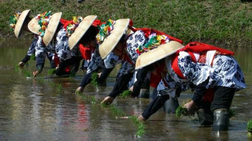 香取神宮の田植え祭, 千葉県 香取市 (© Junko Kimura/特派員/Getty Images) Bing Everyday Wallpaper 2025-04-02
/tmp/UploadBetarS6Y71 [Bing Everyday Wall Paper 2025-04-02] url = http://www.bing.com/th?id=OHR.Sawara2025_JA-JP1817975477_1920x1080.jpg

File Size (KB): 309.63 KB
Last Modified: April 02 2025 00:00:03
